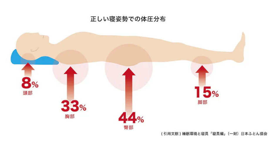 正しい寝姿勢での体圧分布
(引用文献)種眠環境と寝具「寝具編」(一財)日本ふとん協会